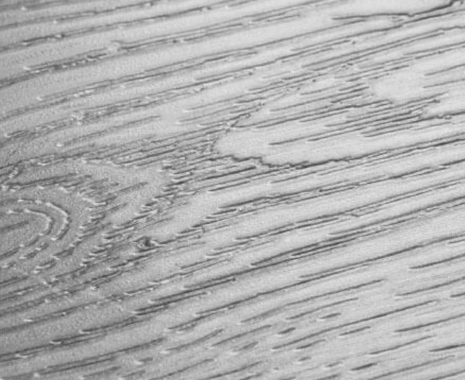 Embossed in Register - SPC floor production technology