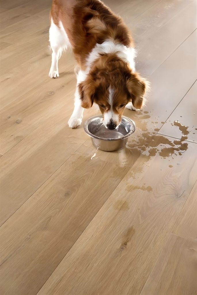 u3548271651110622450fm253fmtautoapp138fPNG